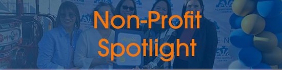 Non-Profit Spotlight