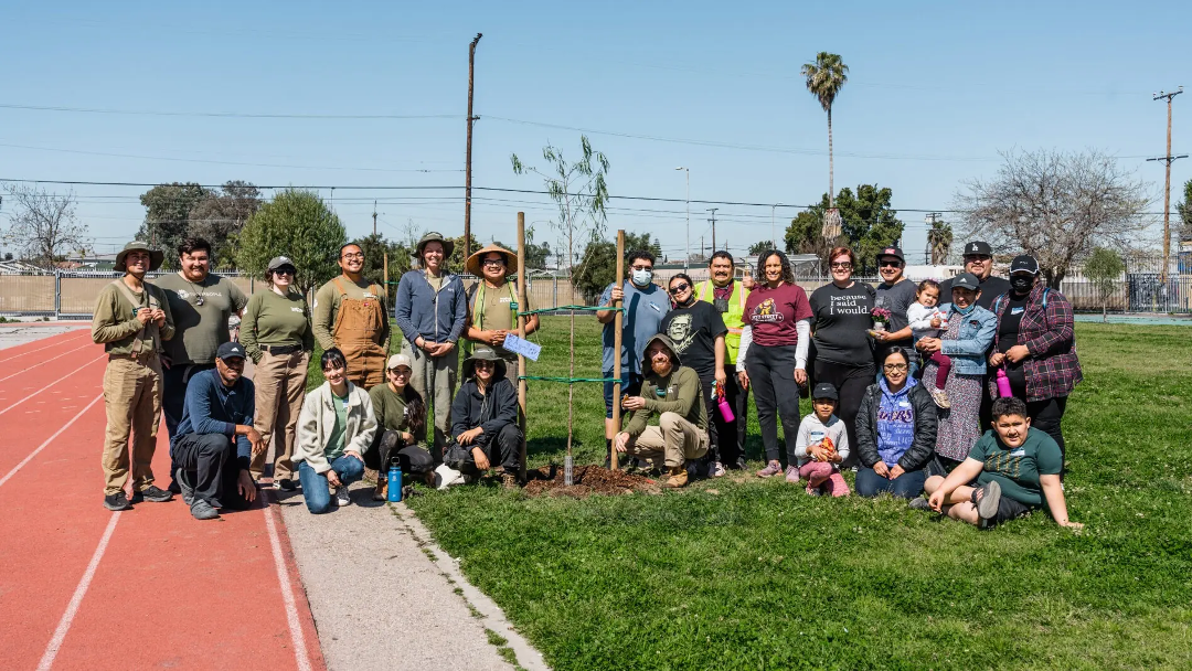 TreePeople: San Fernando Calles Verdes Tree Planting